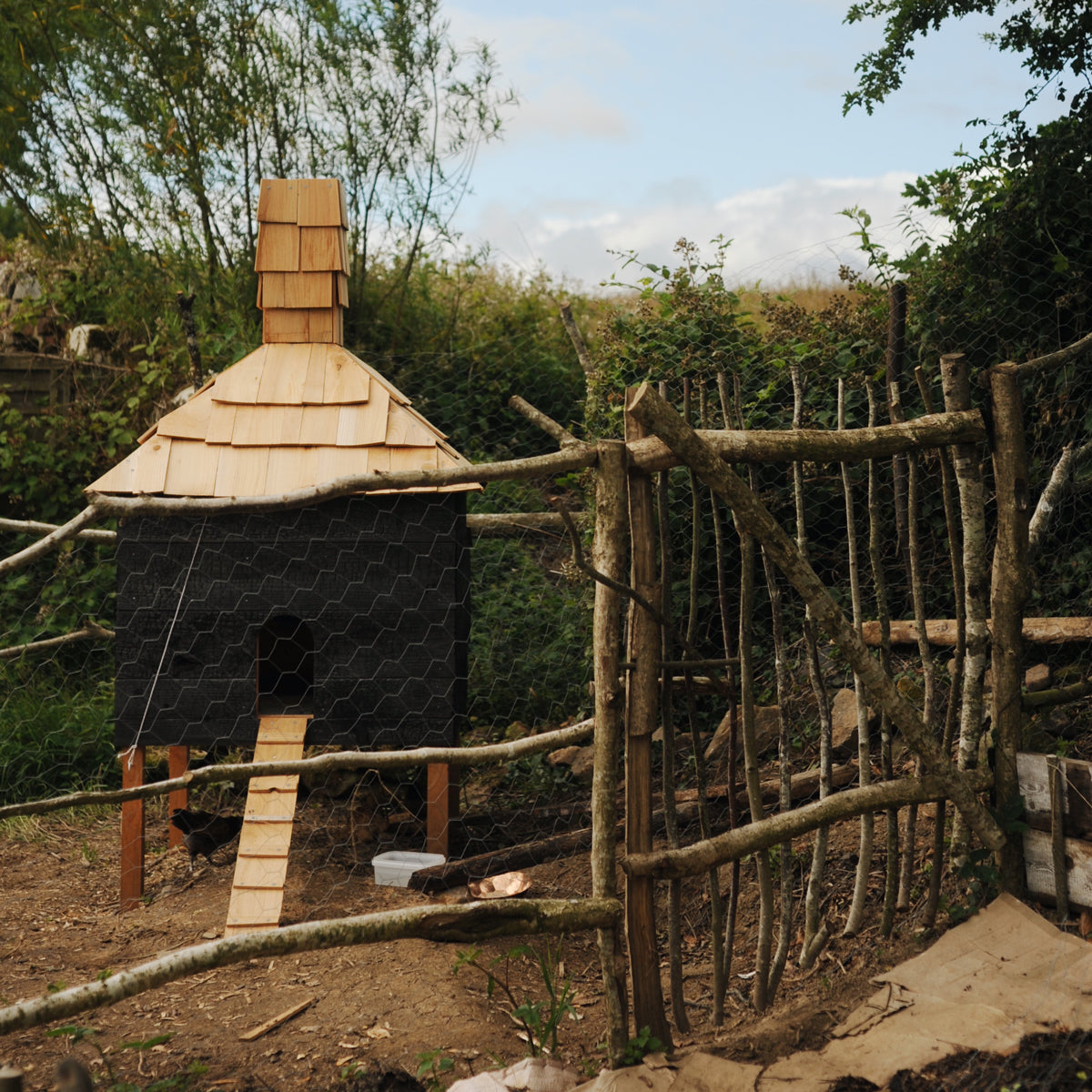 The Chicken Coop/Palace